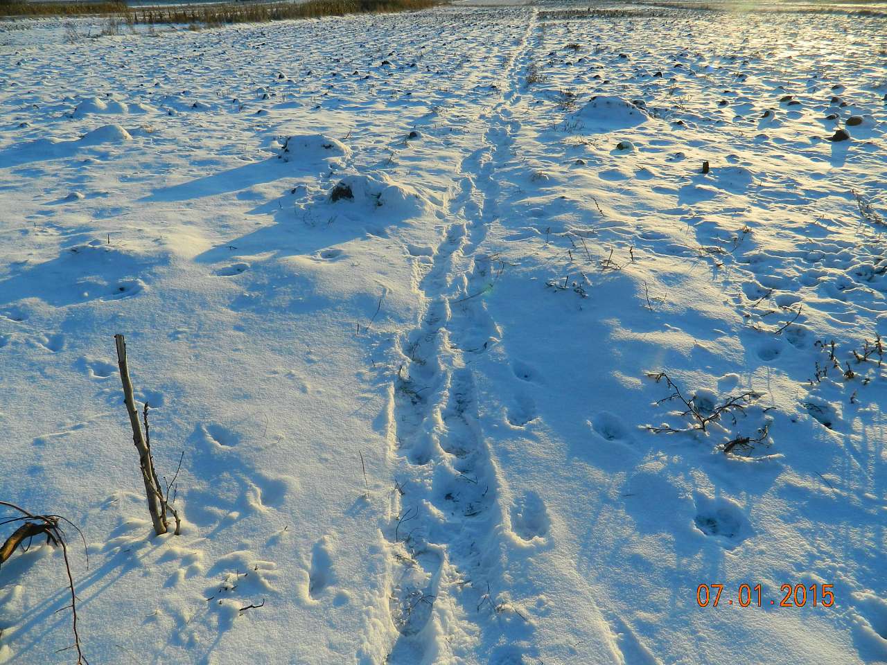 Парипси зимою. - Парипси