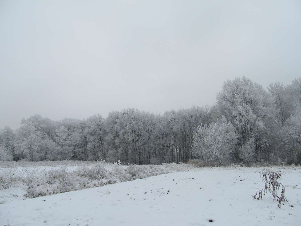 Зима прийшла! - Велика Бугаївка