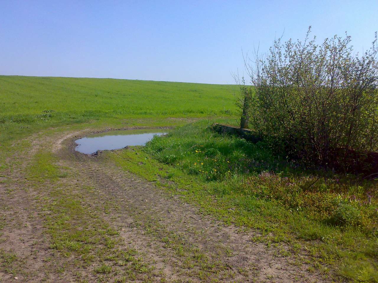 Ванчинець - Ванчинець