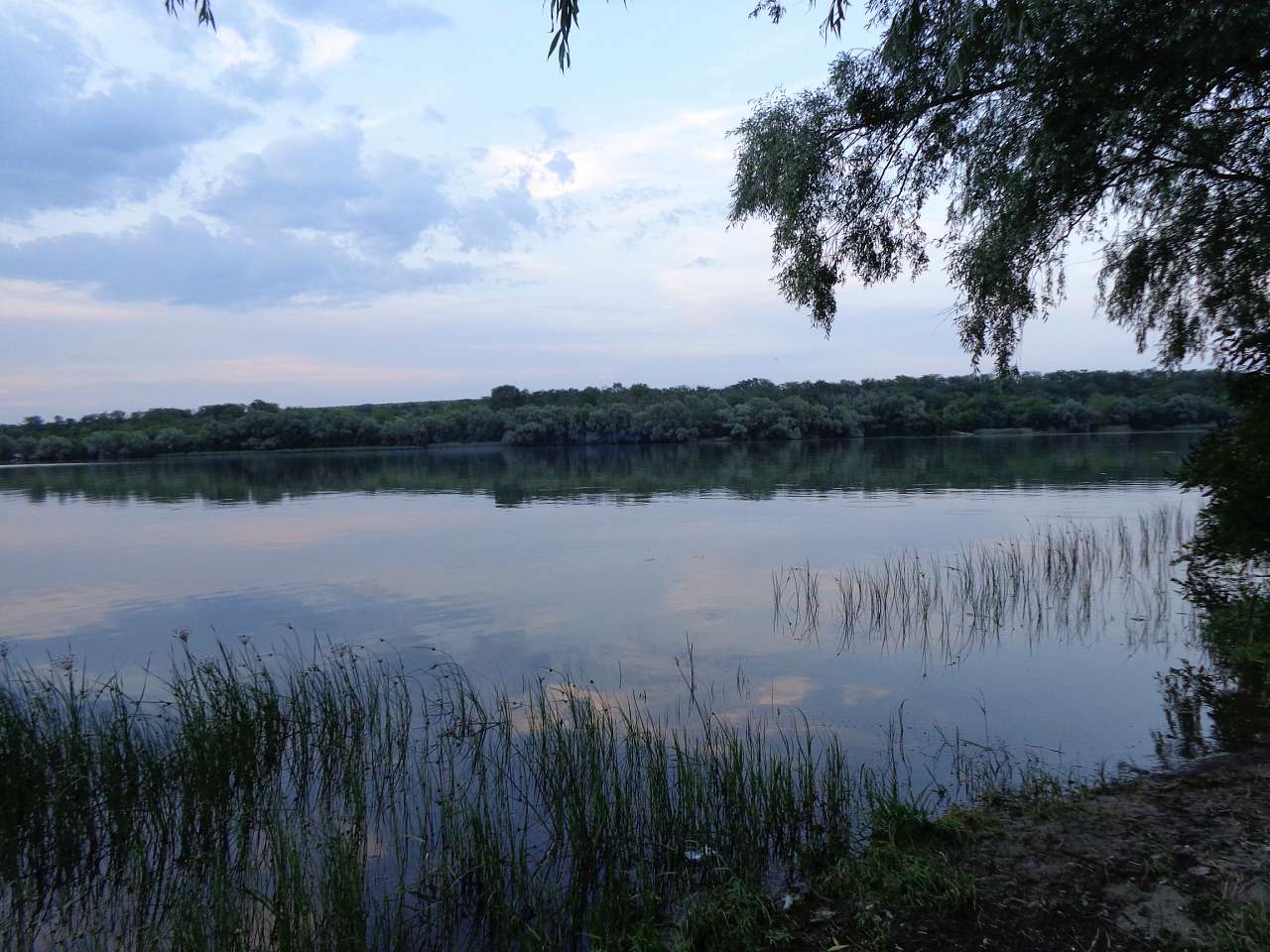 Річкові краєвиди - Осокорівка