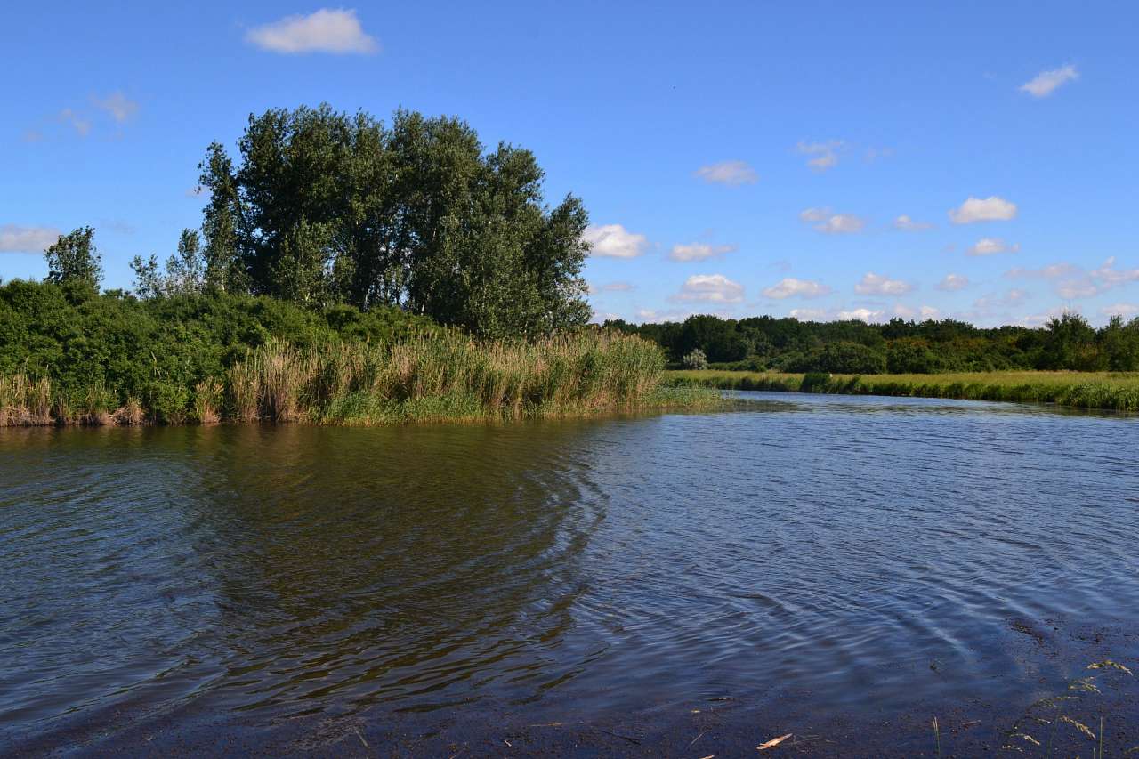 Степ - Писаревка