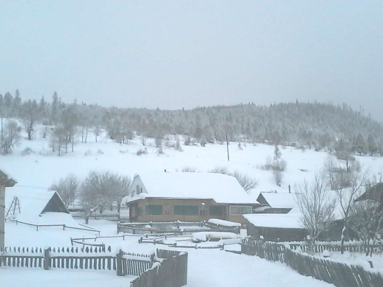 Карпатське - Karpatske