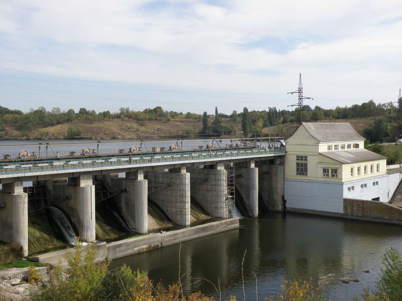 Тростянчик - Тростянчик