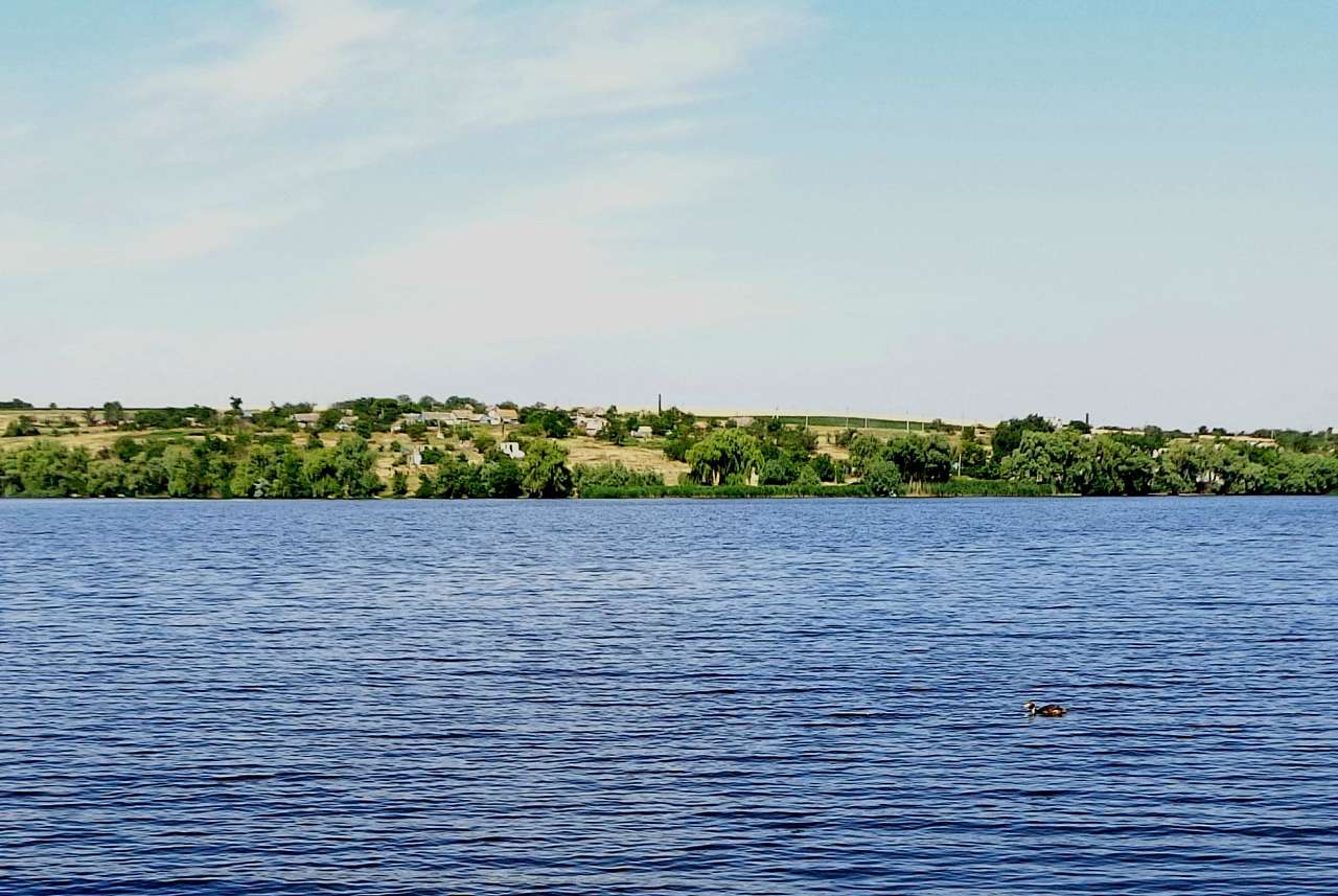 Річкові краєвиди - Осокорівка