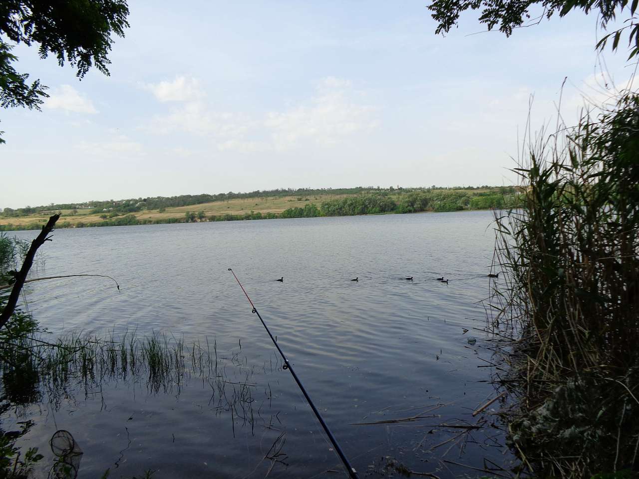 Річкові краєвиди - Осокорівка