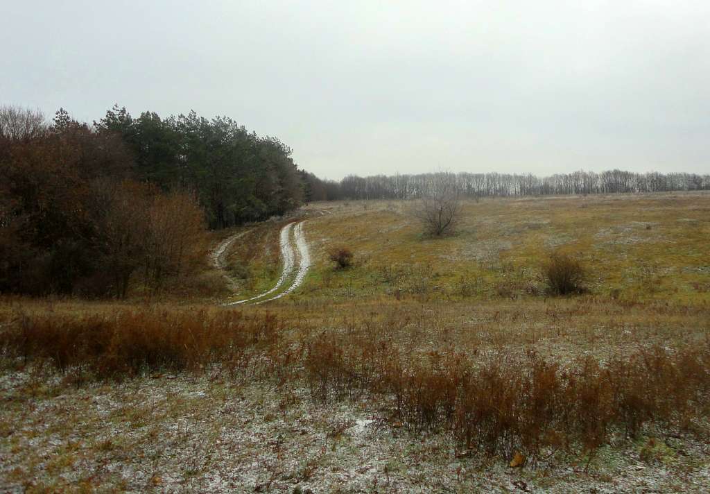 ТЕ, ЩО ПОБАЧИВ У ВИТАЧЕВІ - Витачів