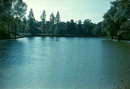 Моє рідне село - Чаплі