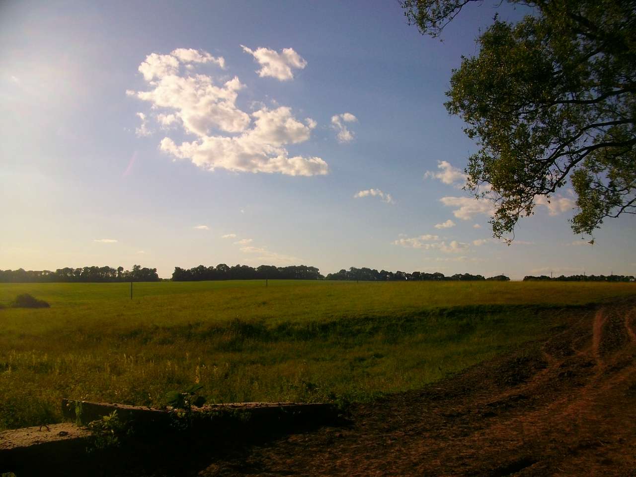 Природа - Вертокиївка