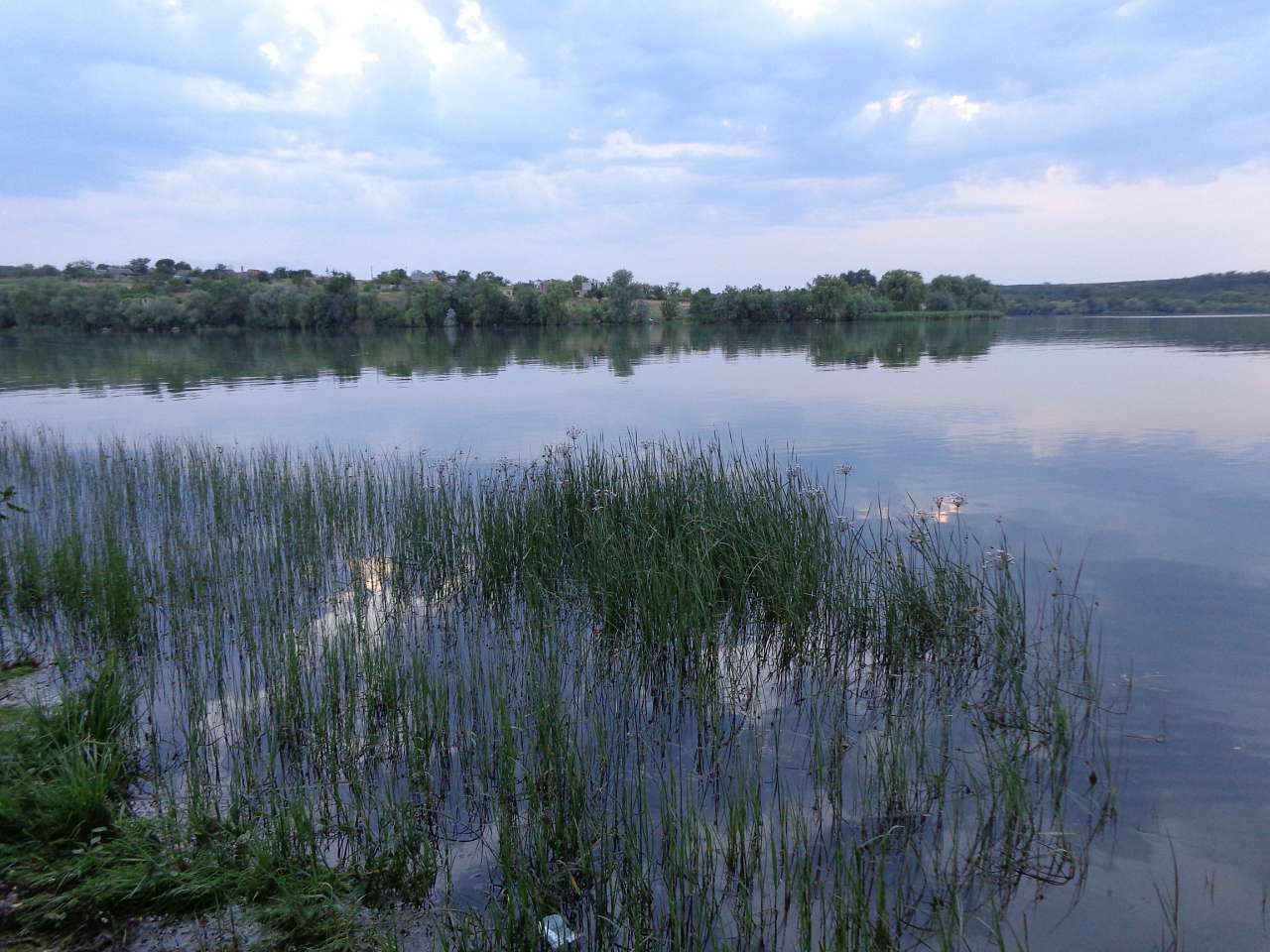 Річкові краєвиди - Осокоровка