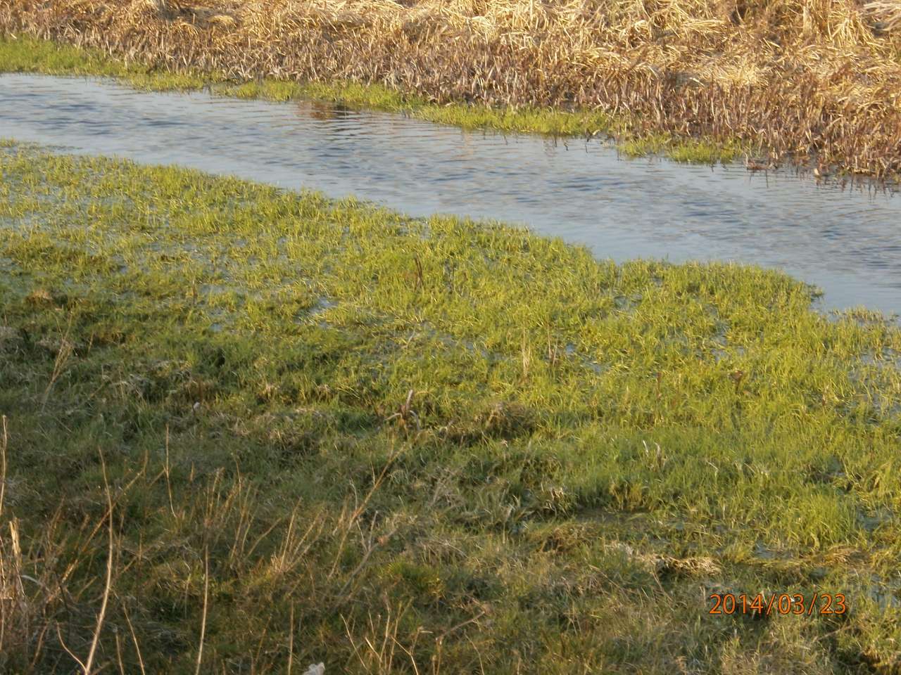 Іржавець - Іржавець