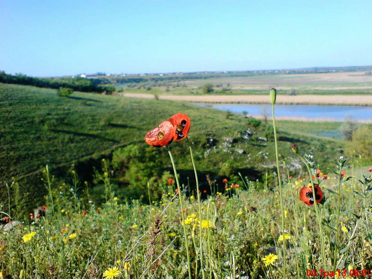 Природа (продолжение) - Галаганівка