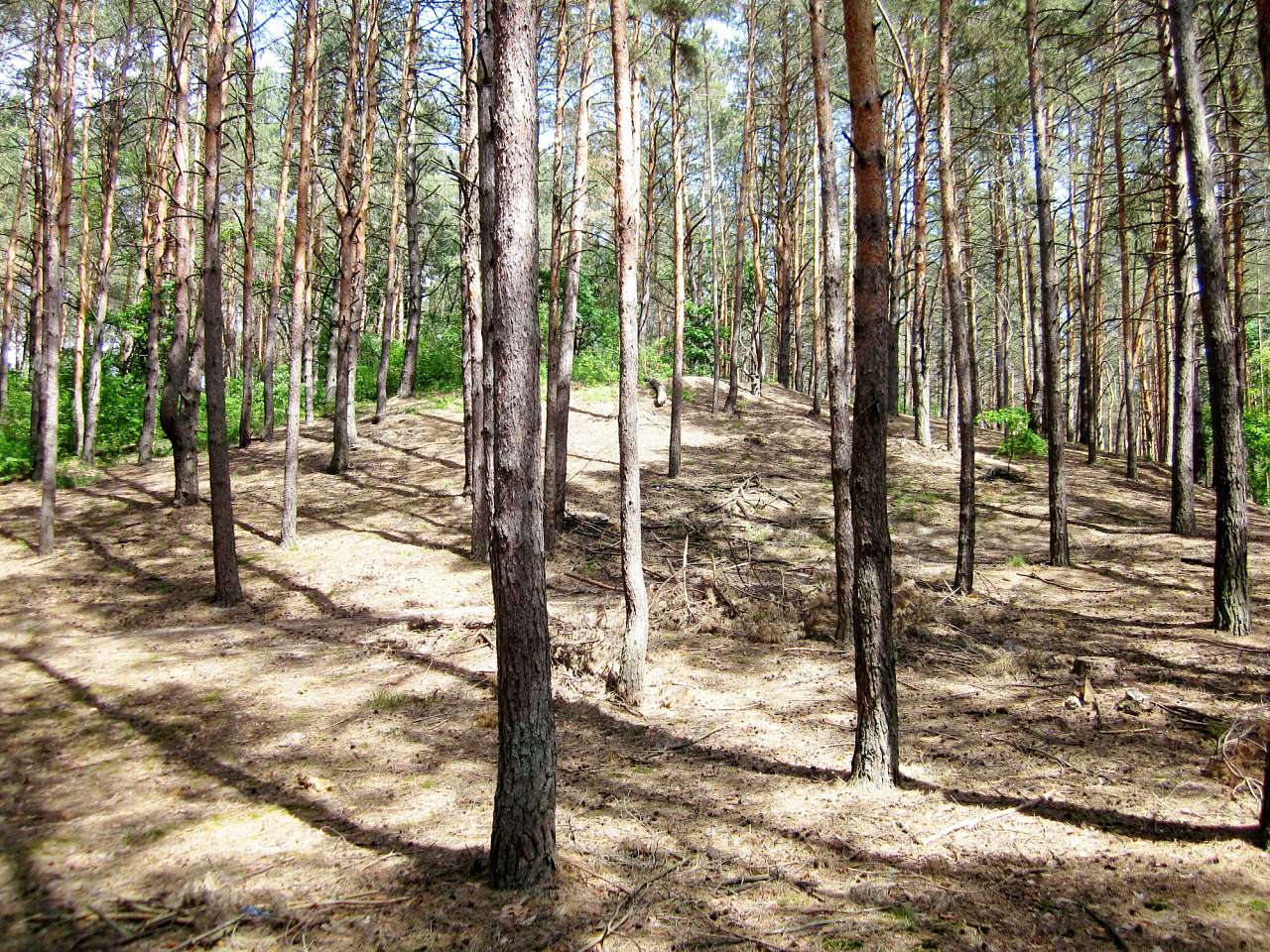 Лінія оборони Києва.Дот 201 - Vita-Poshtova