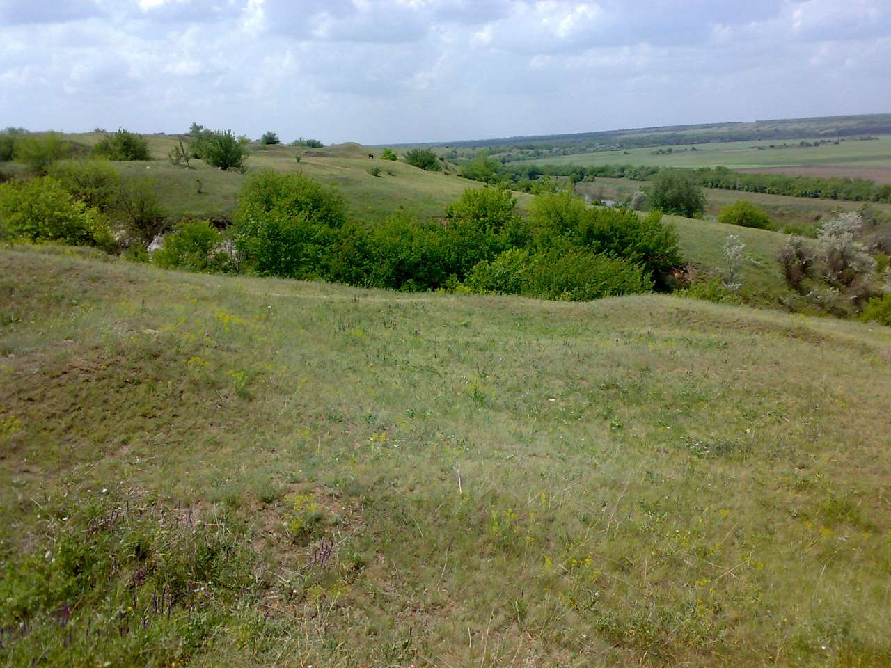 р.Інгулець - Архангельське