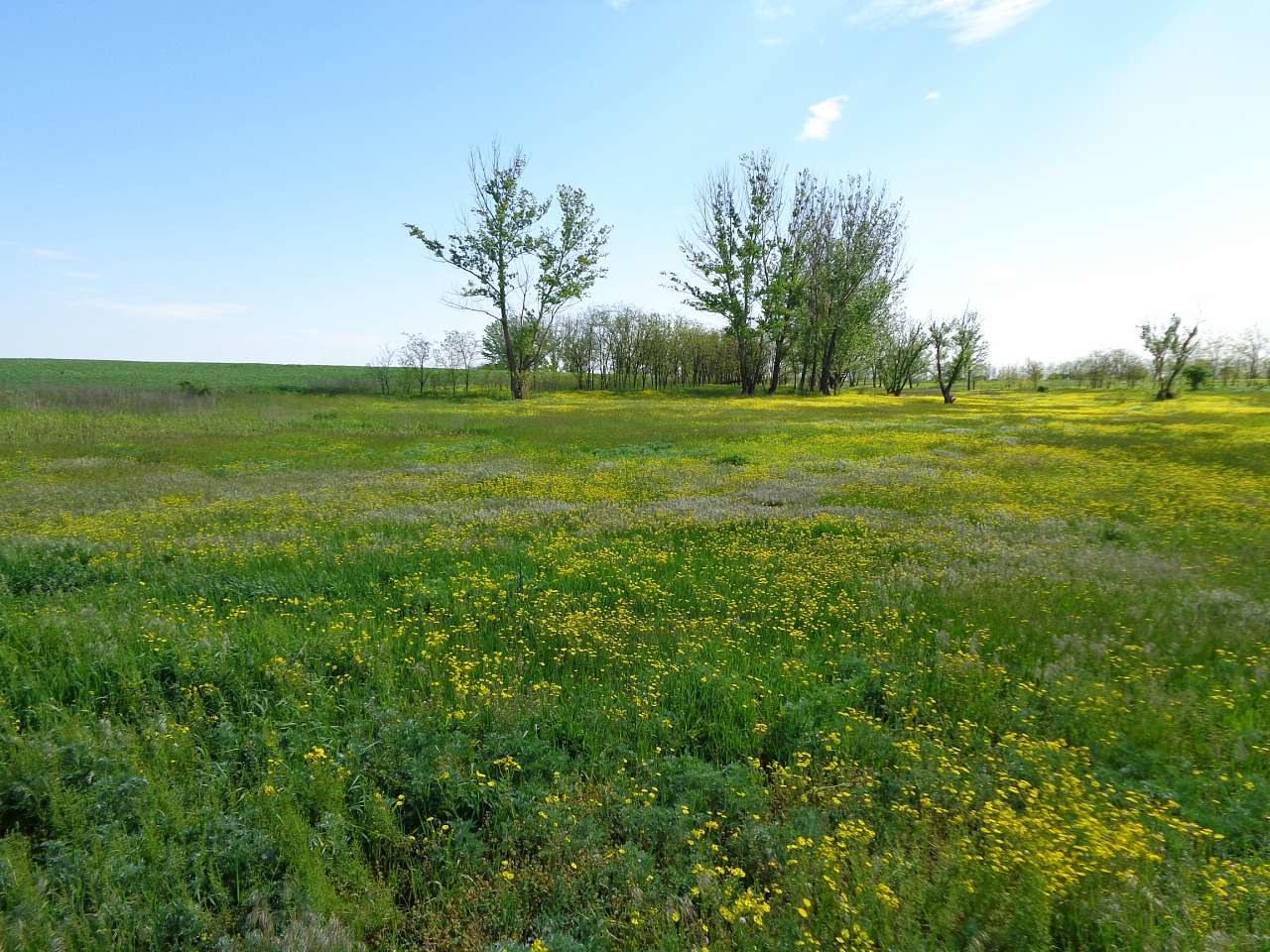 Червоне - Червоне