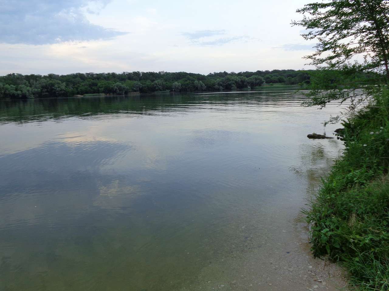 Річкові краєвиди - Осокорівка