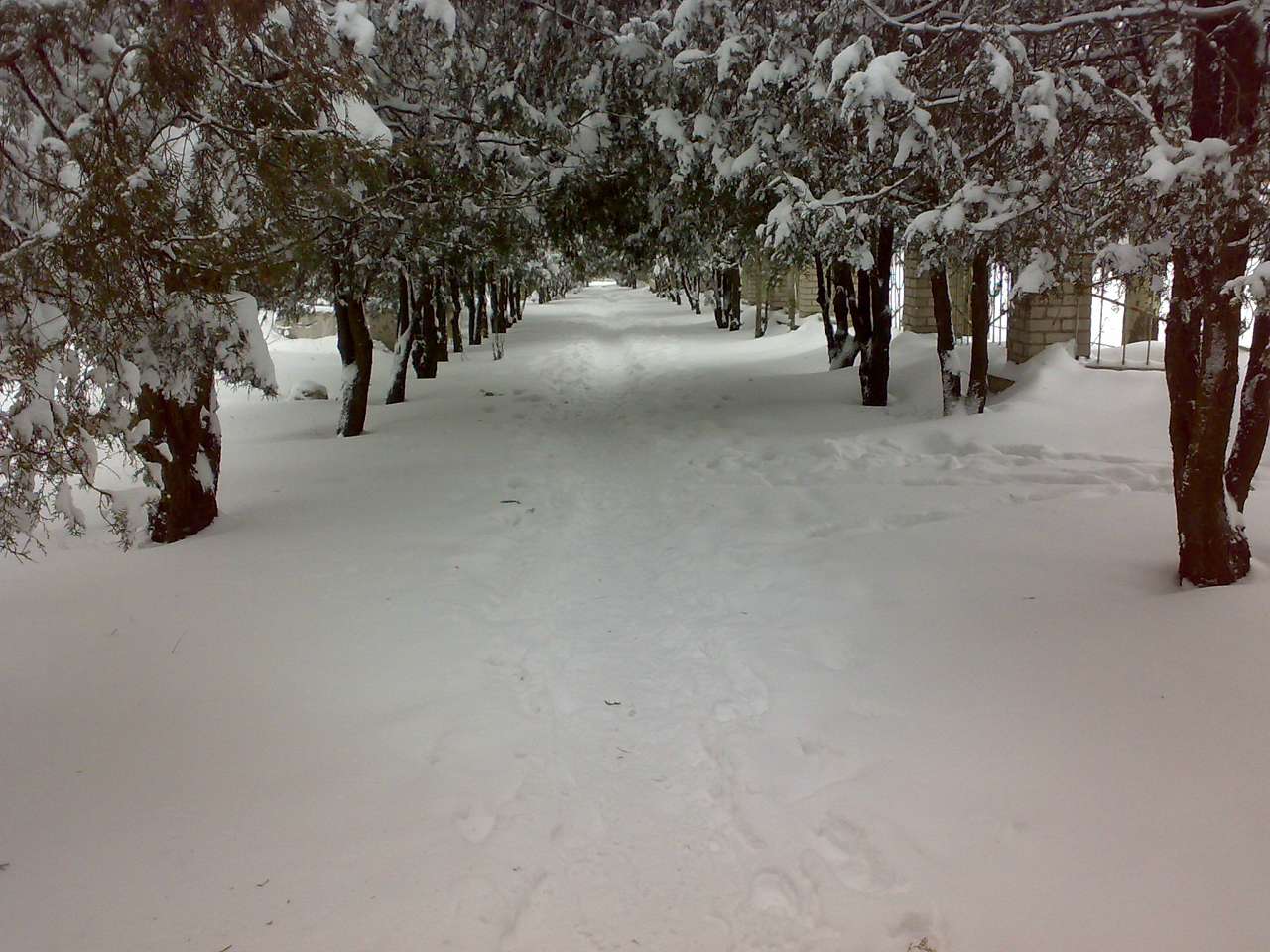 Осокорівка - Осокоровка