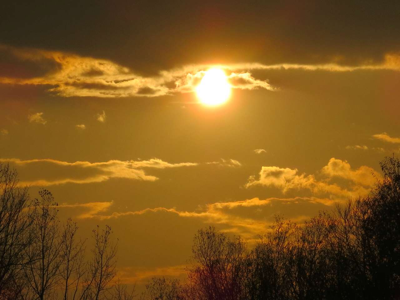 Виженка якою я ЇЇ бачу - Vyzhenka
