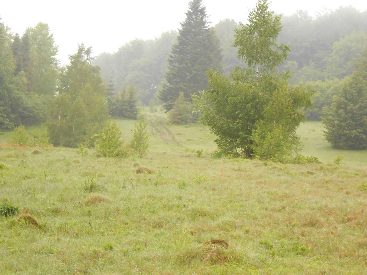 село Люта - Люта