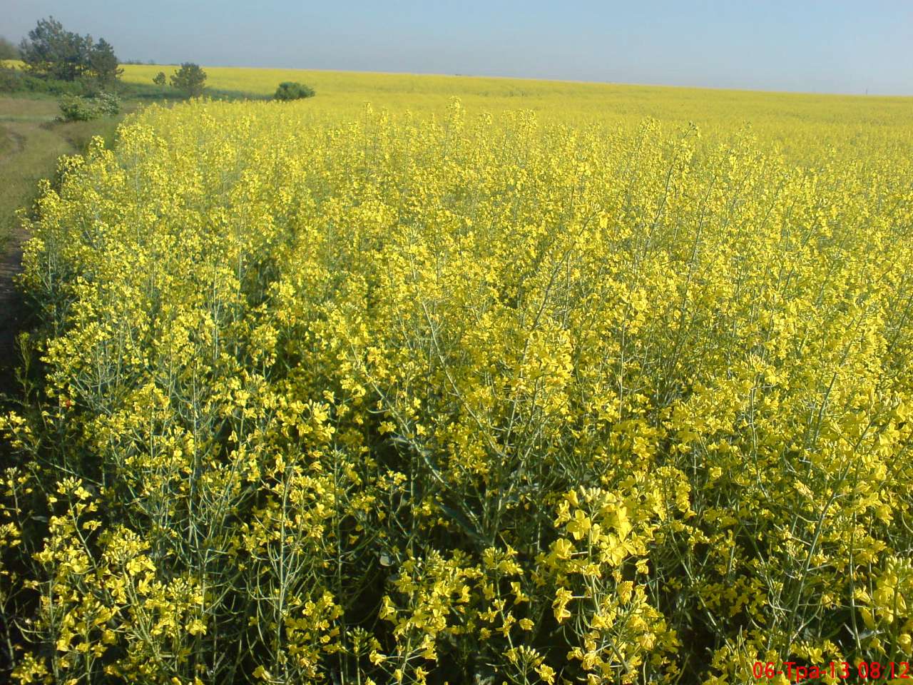 Природа - Галагановка