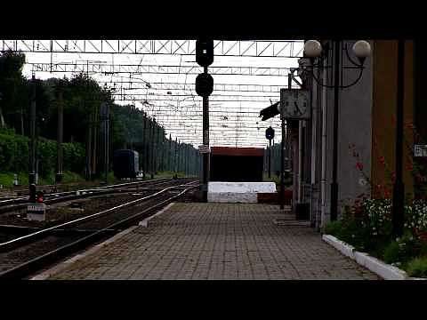 Голендры мои - Голендри