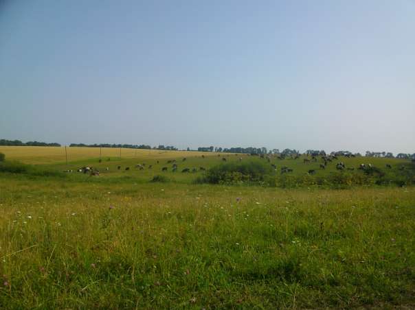 Природа - Вертокиевка