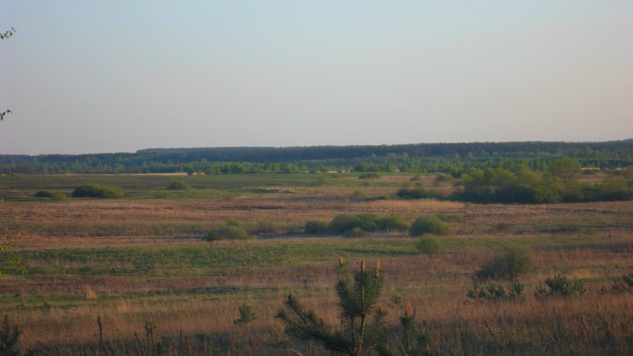 п.Красный прогресс  - Krasnyy Progres