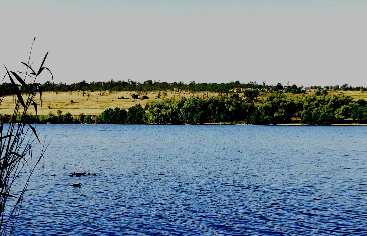 Річкові краєвиди - Осокорівка