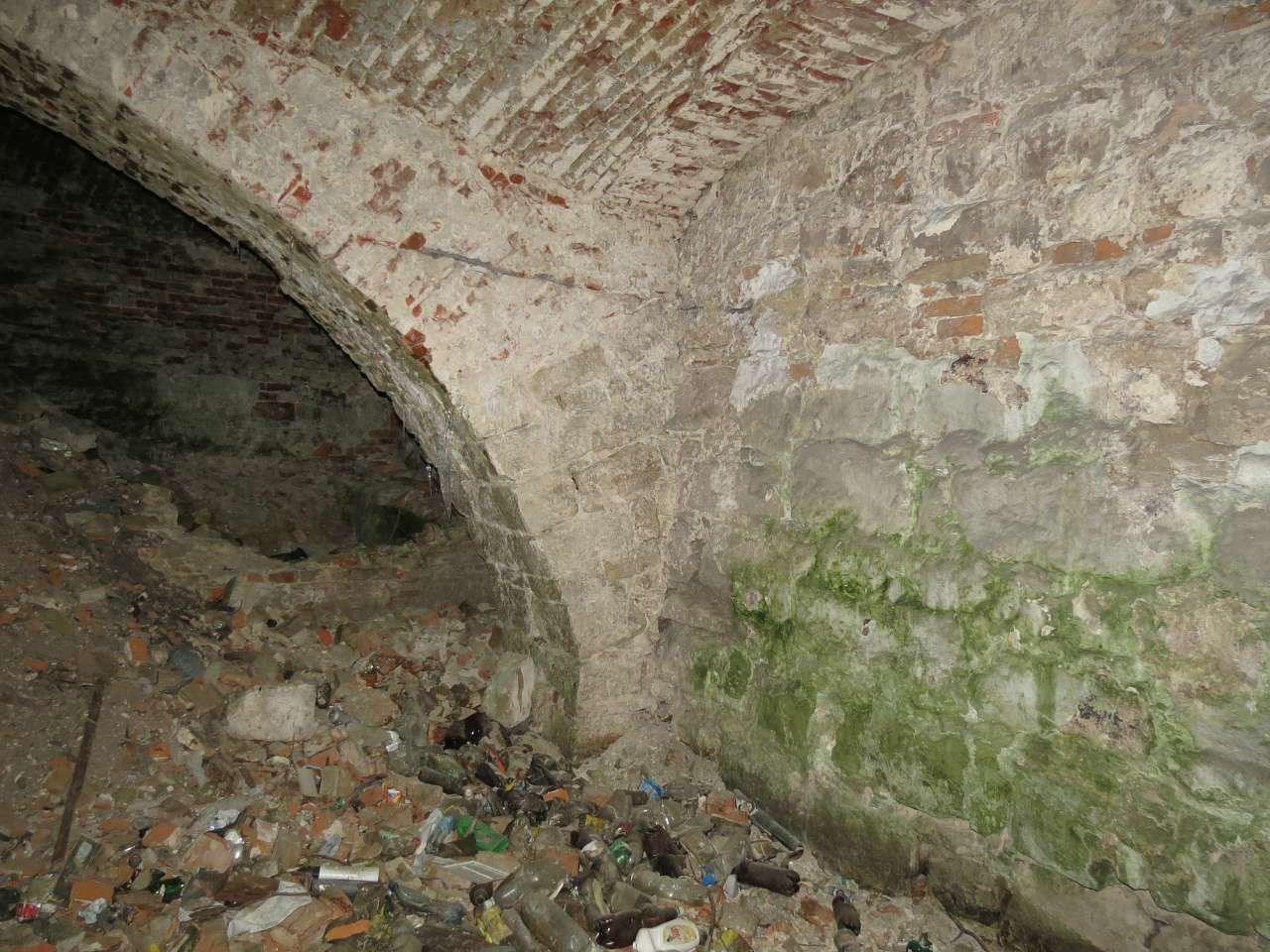 Фортеця Владислава Острозького-Заславського - Старое Село