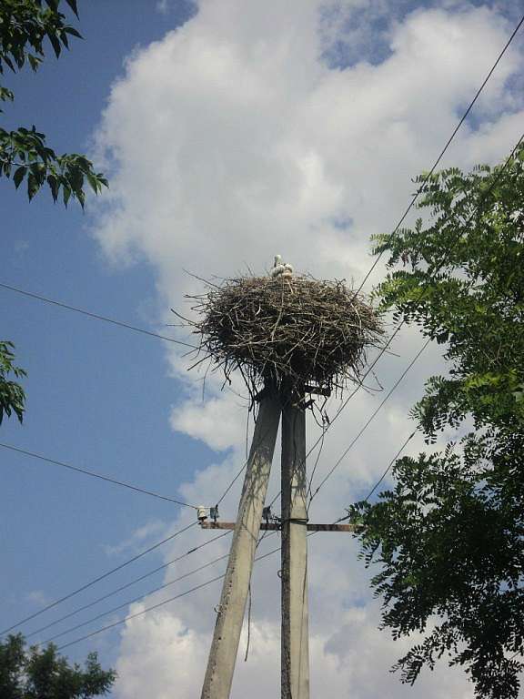 Соколинці та околиці - Соколинці