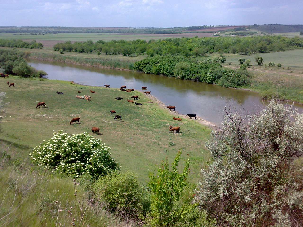 р.Інгулець - Архангельське