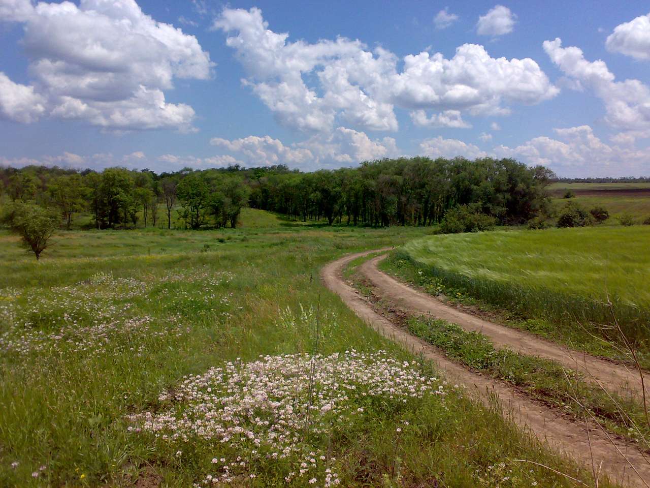 Мандрівки по околицях - Осокорівка
