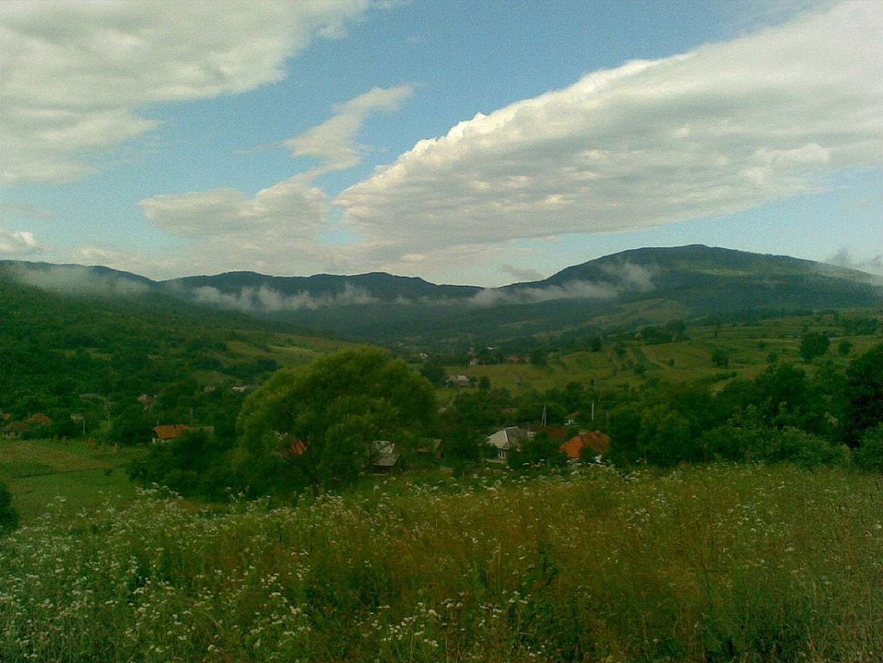 село Люта - Люта