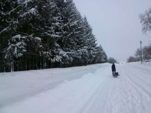 Природа - Вертокиевка