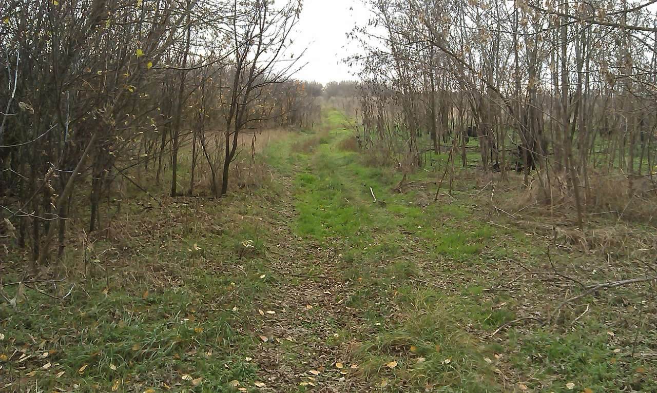 Зникле село Майське... - Майське