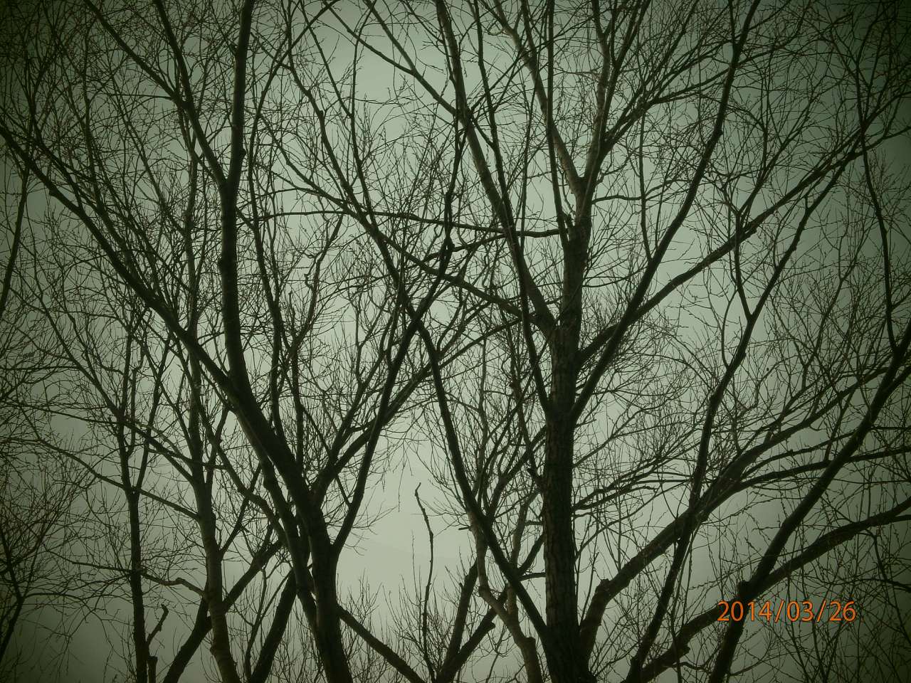 Іржавець - Іржавець