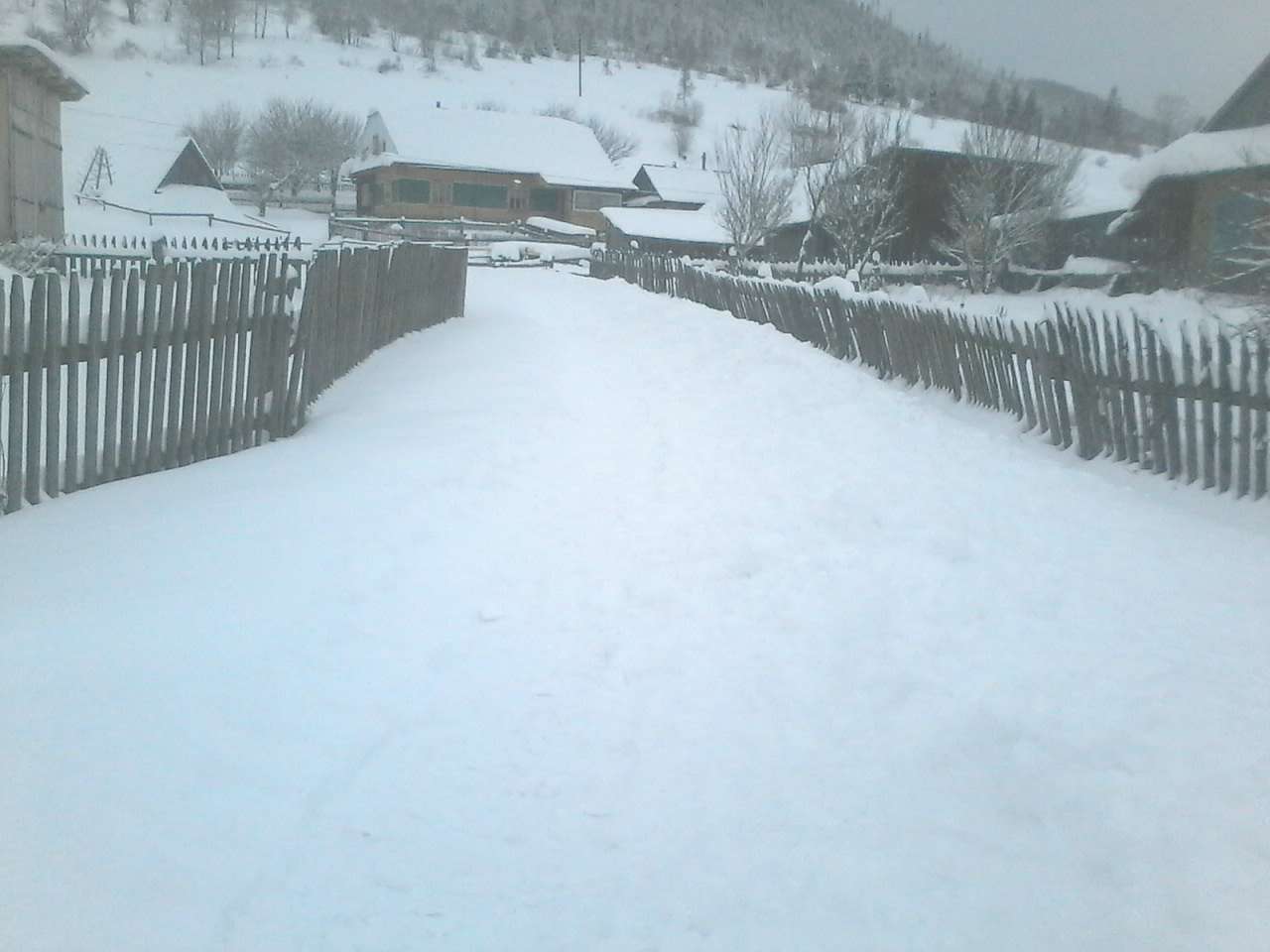 Карпатське - Karpatske