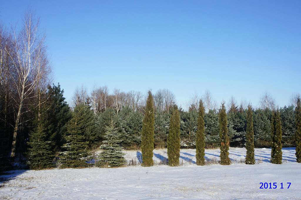 с.Мар'янівка, Тернопільський р-н. - Марьяновка