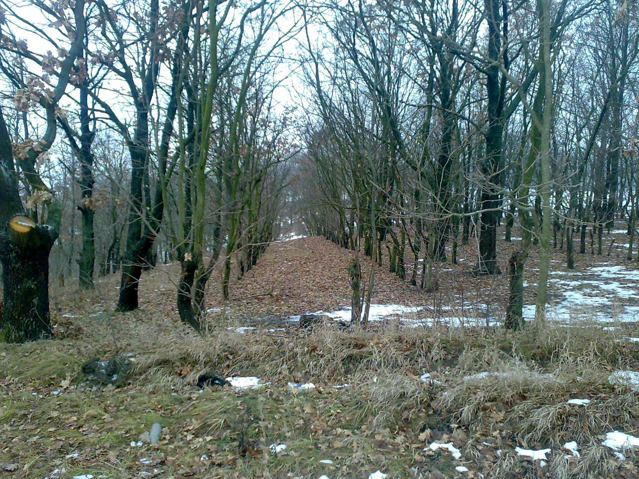 Ванчинець - Ванчинець