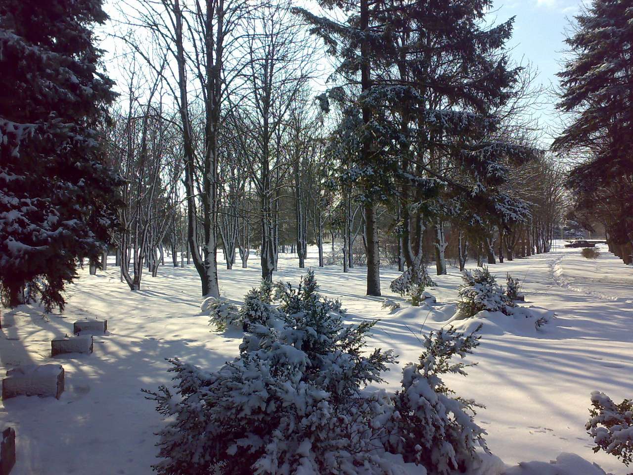 Осокорівка - Осокоровка