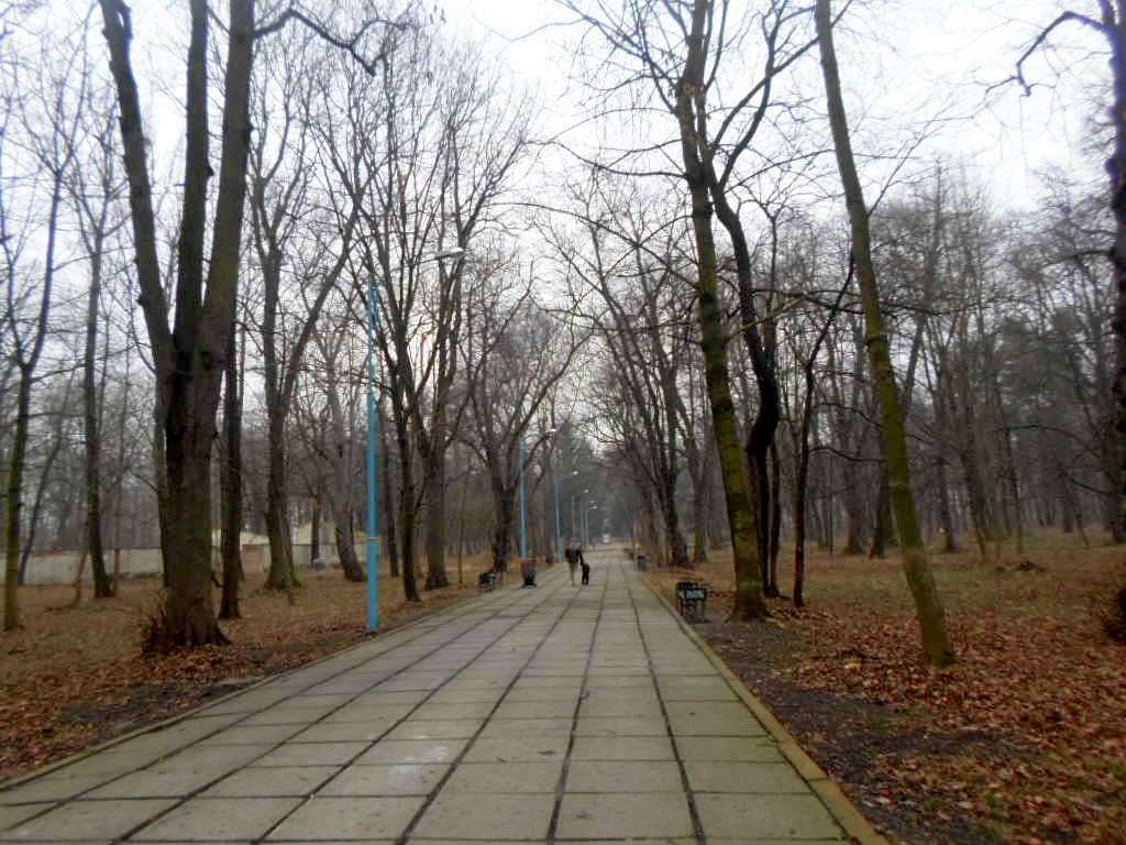 парки - Стрый