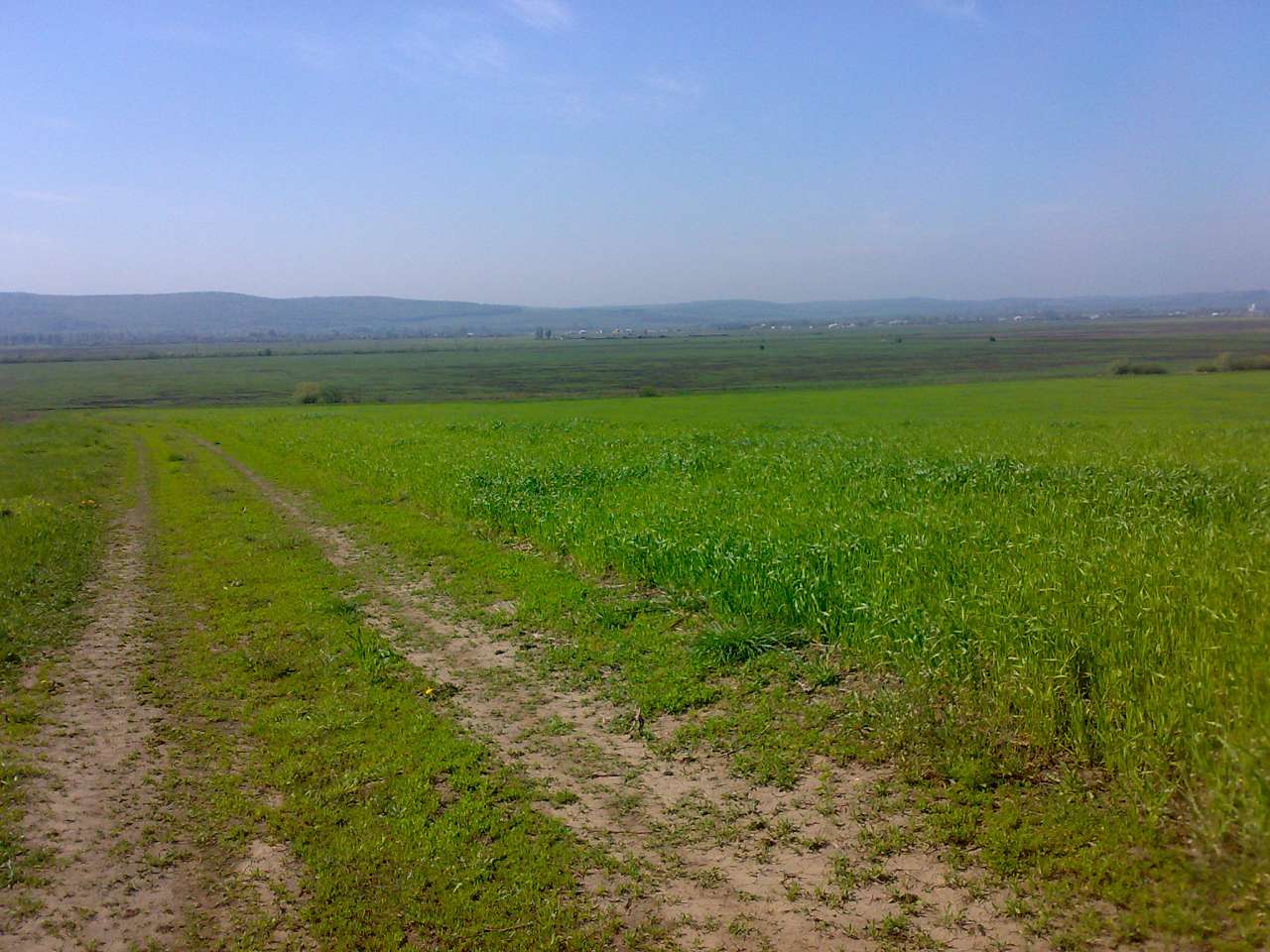 Ванчинець - Ванчинец