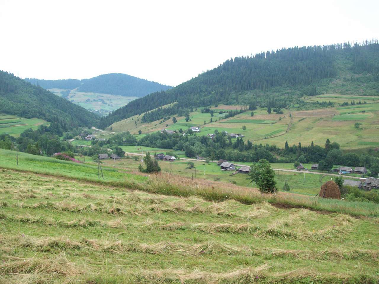 Карпатське - Карпатське