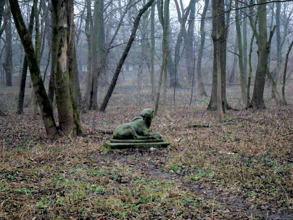парки - Стрый