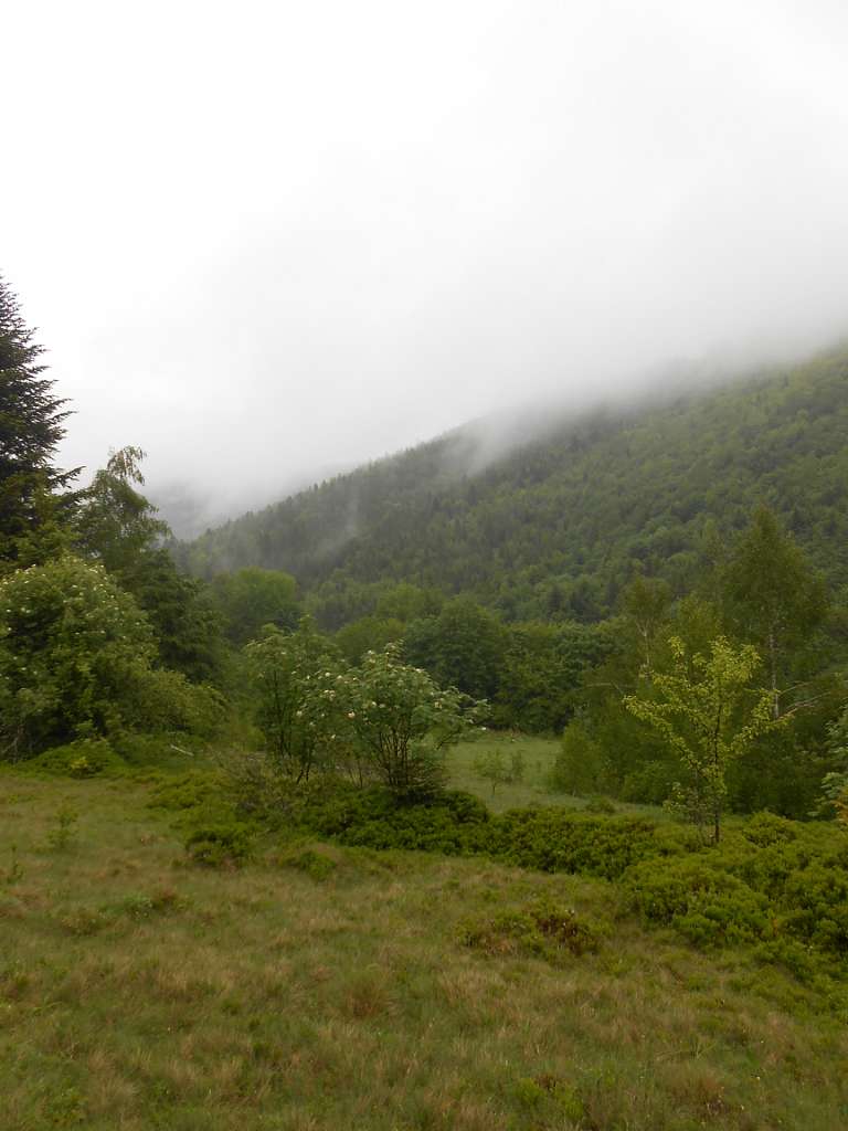 село Люта - Люта