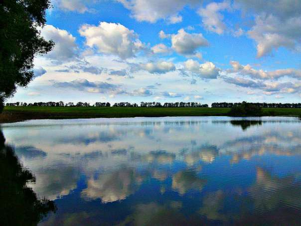 Природа - Вертокиевка