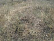 Синюхин Брід з panoramio.com