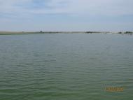 Ржавчик - Останні фото