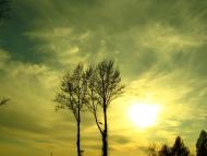 Біла з panoramio.com