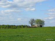 Великий Дивлин з panoramio.com