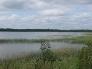 Затишшя з panoramio.com